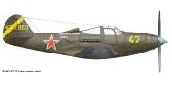 Asisbiz 44 70953 Bell P 39Q Airacobra 213GvIAP 22 GIAD Yellow 47 Russia summer 1945 0A