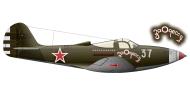 Asisbiz Bell P 39N Airacobra 21GvIAP 304IAD 37 For Odessa ace Tuchinskiy Ukrainian Front 1944 0A