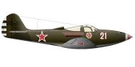 Asisbiz Bell P 39N Airacobra 69GvIAP 304IAD White 21 Fyodor Ivanovich Shikunov Ukrainian Front 1944 0A