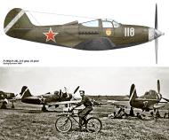 Asisbiz Bell P 39Q Airacobra 213GvIAP 22 GIAD White 118 Russia summer 1945 0A