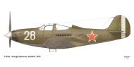 Asisbiz Bell P 39Q Airacobra 28GvIAP 5GIAD White 28 Georgiy Baranov Baltic and Leningrad Fronts 1945 0A