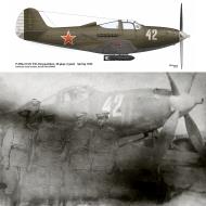 Asisbiz Bell P 39Q Airacobra 28GvIAP 5GIAD White 42 PB Ovsyannikov Baltic and Leningrad Fronts 1945 01