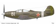 Asisbiz Bell P 39Q Airacobra 28GvIAP 5GIAD White 81 SI Korobov Baltic and Leningrad Fronts 1945 0B