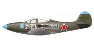 Asisbiz Bell P 39Q Airacobra 30GvIAP 180IAD Blue 86 slogan Death to fascism on Belorussian front 1945 0A