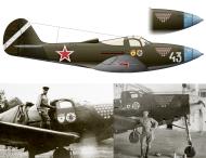 Asisbiz Bell P 39Q Airacobra 438IAP White 43 Anatoly Leonidovich Kozhevnikov Ukrainian Front 1945 0A