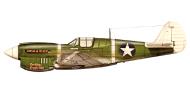 Asisbiz Curtiss P 40F Warhawk 18FG44FS White 111 Jack Bade New Georgia Isl 1943 0B
