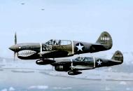 Asisbiz USAAF 41 19821 Curtiss P 40F 347FG68FS White 208 and 41 19836 18FG44FS White 106 Guadalcanal 1943 ASC1