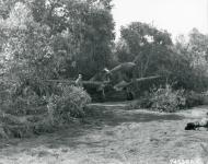 Asisbiz Curtiss P 40 Warhawk parked amoung natural camouflage in the dispersal area at Sadiya Assam India NA543