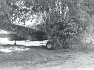 Asisbiz Curtiss P 40 Warhawk parked in natural camouflage on the dispersal field at Dinjan India NA501