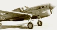 Asisbiz Curtiss P 40F Warhawk 324FG314FS Y31 Andrew D'Antoni 1943 01