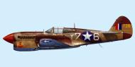 Asisbiz USAAF 42 10736 Curtiss P 40F Warhawk 324FG316FS Y76 Buchanan Tunisia 1943 0B