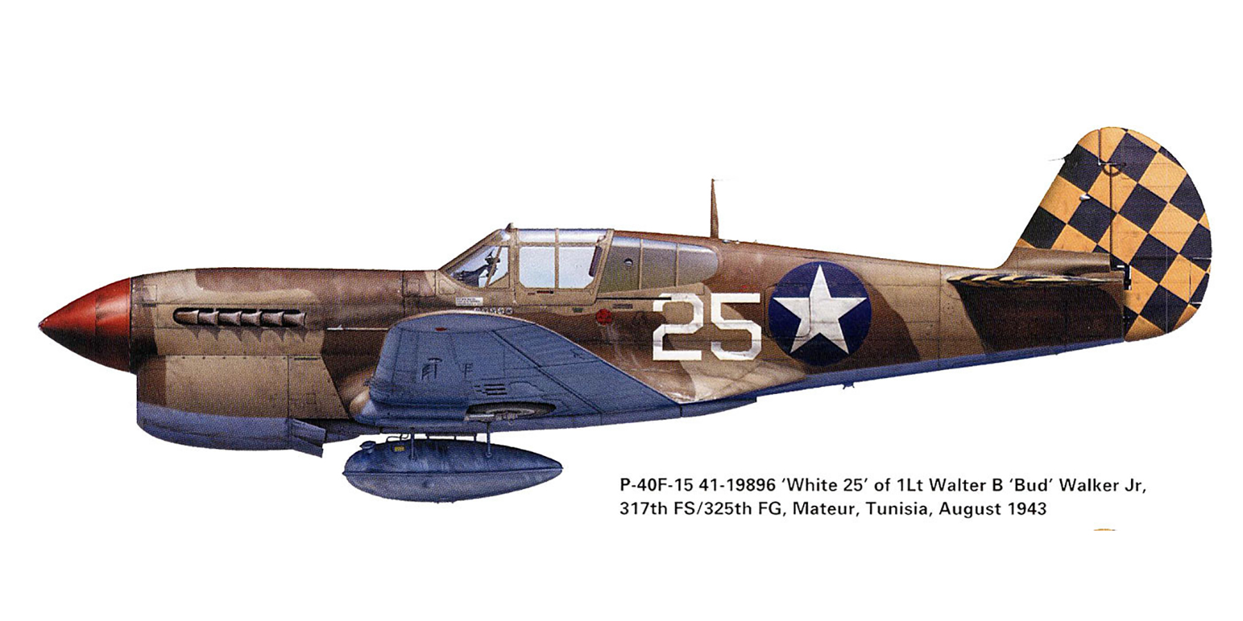 Asisbiz USAAF 41 19896 Curtiss P-40F Warhawk 325FG317FS