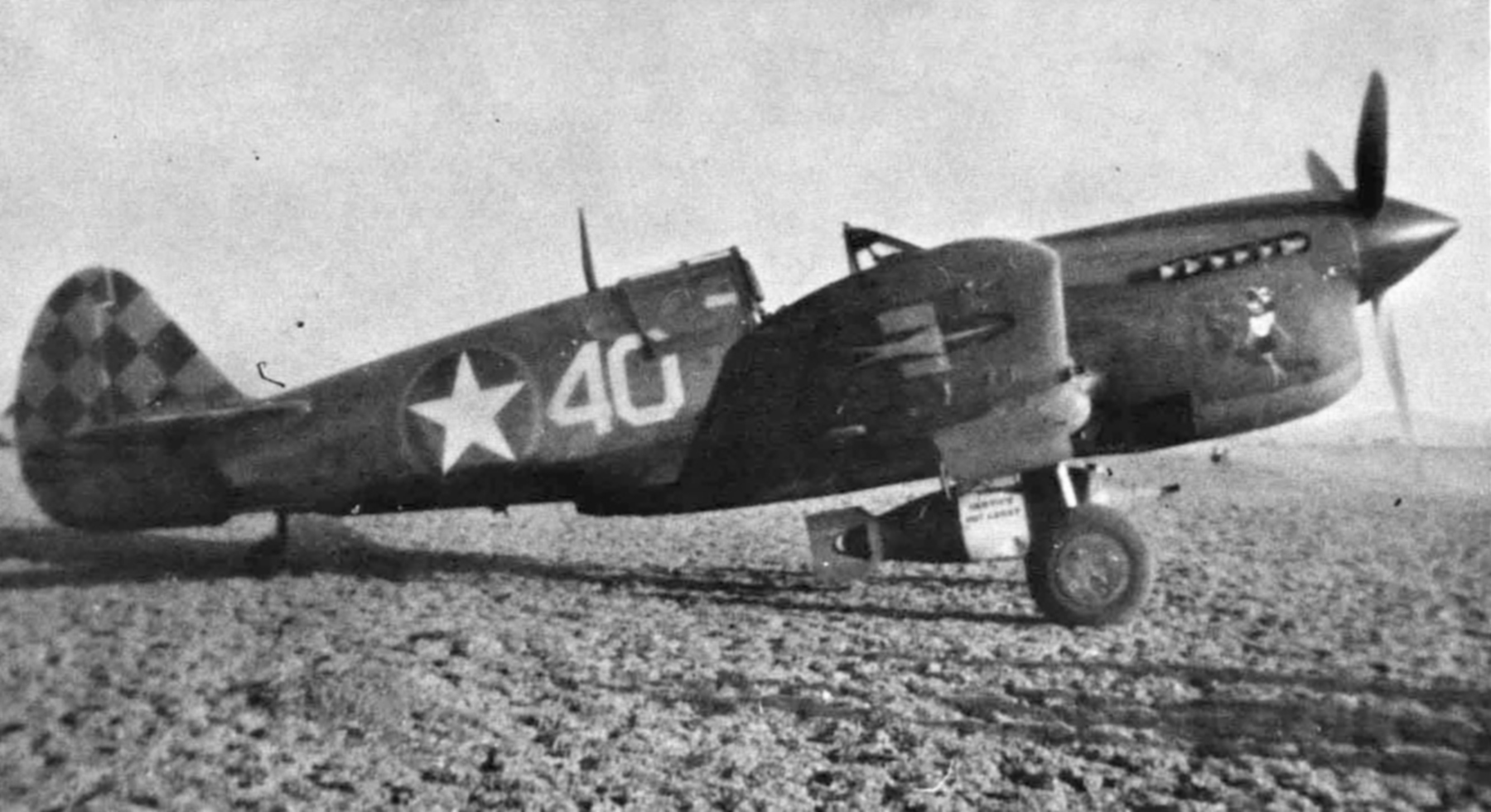 USAAF 42-10664 Curtiss P-40L Warhawk 325FG317FS White 40 Capt Joseph D Bloomer at Mateur Tunisia Sep 1943 01
