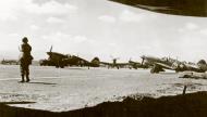 Asisbiz USAAF 41 19985 Curtiss P 40F Warhawk 12AF 325FG317FS 79 at Maison Blanche Tangier Morocco 1943 01