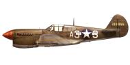 Asisbiz USAAF 42 10855 Curtiss P 40L Warhawk 332FG99FS White A33 1Lt Robert W Diez Madna Italy Jan 1944 0A
