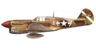 Asisbiz USAAF 42 10888 Curtiss P 40L Warhawk 332FG99FS White A17 2Lt Herman Lawson Madna Italy Dec 1943 0A