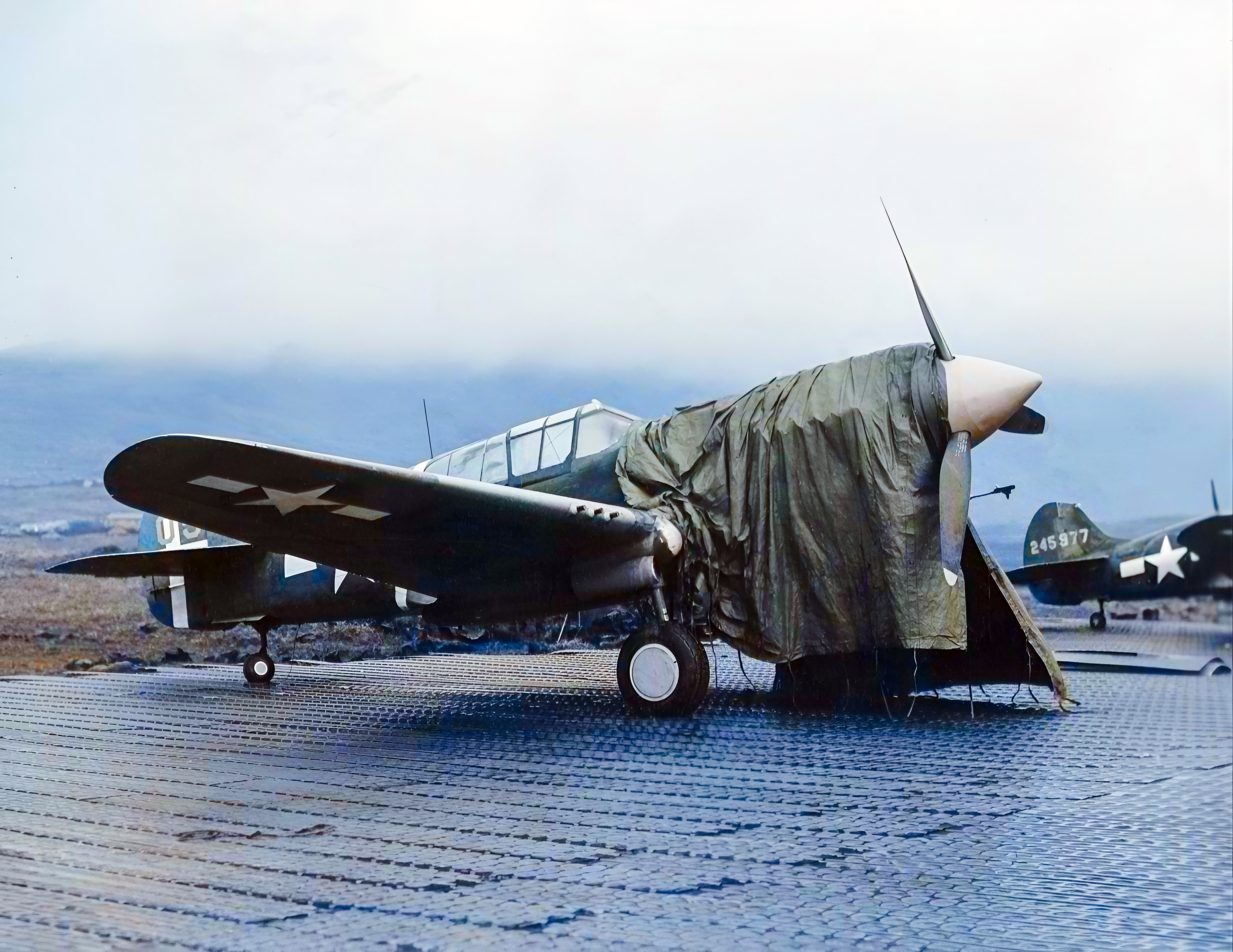 USAAF 42 45977 Curtiss P 40K Warhawk 343FG foreground with Yellow 05 Attu Aleutians 1943 A54934