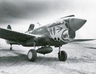 Asisbiz Curtiss P 40E Warhawk 343FG11FS Aleutian Tigers Aleutian Islands Umnak Alaska 1942 NA1068