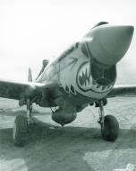 Asisbiz Curtiss P 40E Warhawk 343FG11FS Aleutian Tigers Aleutian Islands Umnak Alaska 1942 NA1070