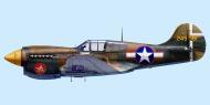 Asisbiz Curtiss P 40K Warhawk 343FG18FS Hicks Amchitka Aleutian Isl 1944 0A
