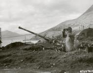 Asisbiz USAAF Alexai Point Airbase Attu Aleutian Islands Alaska ground defenses 40mm gun position 5th Oct 1943 NA1138