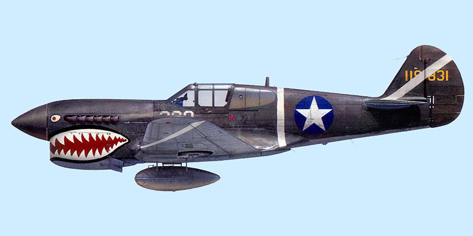 USAAF 41-19831 Curtiss P-40F Warhawk 347FG68FS White 209 Lucien Shuler Guadalcanal Apr 1943 0B