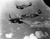 Asisbiz USAAF 41-19825 Curtiss P-40F Warhawk 347FG68FS White 102 Miss Alma Guadalcanal 1943 01