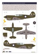 Asisbiz Curtiss P-40E Warhawk 49FG7FS White 12 Lt Harold J Martin based at Horn Island Torres Strait Australia spring 1942 eduard 0C