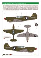 Asisbiz Curtiss P-40E Warhawk 49FG8FS Yellow 57 Capt George Edward Kiser Darwin Australia 1942 eduard 0B