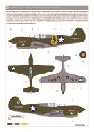 Asisbiz Curtiss P-40E Warhawk 49FG9FS White 81 1Lt John Landers Skeeter Darwin Australia 1942 eduard 0B