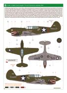 Asisbiz Curtiss P-40E Warhawk 49FG9FS White 94 Lt Robert Vaught named Bobs Robin Darwin Australia 1942 eduard 0B