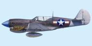 Asisbiz Curtiss P 40N Warhawk 49FG7FS White 24 Elliott Dent New Guinea 1944 0B