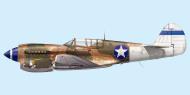 Asisbiz Curtiss P 40N Warhawk 49FG7FS White 7 Joel Paris New Guinea May 1944 0A