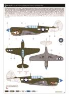 Asisbiz Curtiss P-40N Warhawk 49FG7FS named 22 Grade A based at Finschhafen Morobe New Guinea Sep 1944 0B