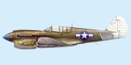 Asisbiz Curtiss P 40N Warhawk 49FG8FS Yellow 42 Robert White New Guinea 1943 0A