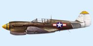 Asisbiz Curtiss P 40N Warhawk 49FG8FS Yellow 51 Donald Meuten New Guinea 1944 0B