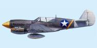 Asisbiz Curtiss P 40N Warhawk 49FG8FS Yellow 55 Sammy Pierce Marilinan New Guinea 1943 0B