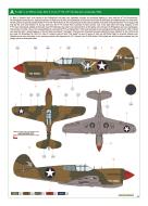 Asisbiz USAAF 41-25164 Curtiss P-40E Warhawk 49FG9FS White 75 Capt Ben S Irvin CO The Rebel Darwin Australia 1942 eduard 0C