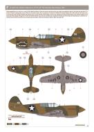 Asisbiz USAAF 41-36171 Curtiss P-40E Warhawk 49PG8PS Yellow 55 Clyde H Barnett Kila Kila Airstrip New Guinea late 1942 eduard 0B