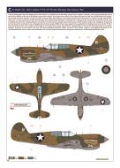 Asisbiz USAAF 41-36243 Curtiss P-40E Warhawk 49FG9FS Lt John Landers Texas Longhorn ET889 Port Moresby New Guinea 1942 Eduard 0B