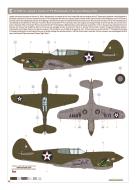Asisbiz USAAF 41-5509 Curtiss P-40E Warhawk 4CG17PS (Provisional) White 14 1Lt Joseph J Kruze Java Feb 1942 eduard 0B