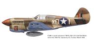 Asisbiz Curtiss P 40F Warhawk 79FG85FS X01 LtCol Earl Bates named Lil Joe Causeway Tunisia Mar 1943 0A