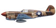 Asisbiz Curtiss P 40F Warhawk 79FG85FS X01 LtCol Earl Bates named Lil Joe Causeway Tunisia Mar 1943 0B