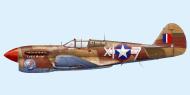Asisbiz Curtiss P 40F Warhawk 79FG85FS X17 1Lt Robert J Duffield at Capodichino Italy Feb 1944 0B