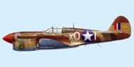 Asisbiz USAAF 41 14100 Curtiss P 40F Warhawk 79FG85FS X01 Earl Bates named Lil Joe II North Africa 1943 0A