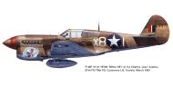 Asisbiz USAAF 41 19746 Curtiss P 40F Warhawk 79FG87FS X81 Charles Jaslow Tunisia 1943 0A