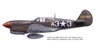 Asisbiz USAAF 42 10855 Curtiss P 40L Warhawk 79FG99FS A33 Robert Deiz Italy 1943 0A