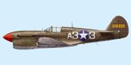 Asisbiz USAAF 42 10855 Curtiss P 40L Warhawk 79FG99FS A33 Robert Deiz Italy 1943 0B