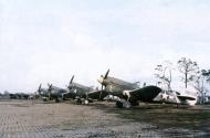 Asisbiz USAAF 42 105268 Curtiss P 40N Warhawk 8FG35FS Yellow L line up Cape Gloucester New Britain Apr 1944 ASC1