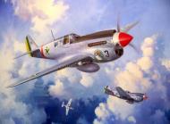 Asisbiz Artwork Curtiss P 40N Warhawk FAB 1.14GAV Nr3 4035 0A
